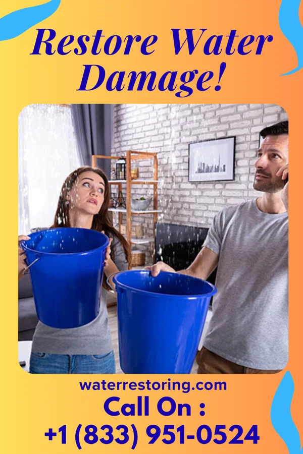 water restoration Stellar Disaster Cleanup Authority Luck