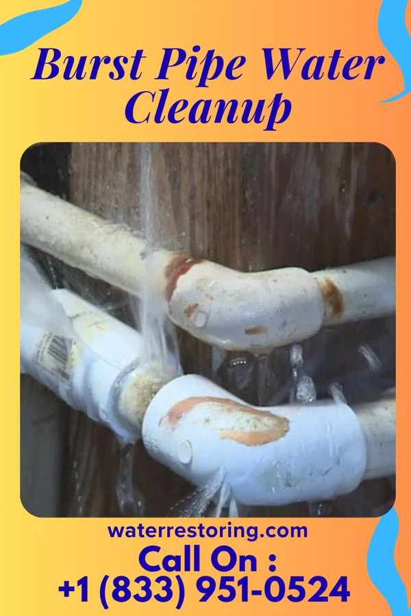Burst Pipe Water Cleanup in Luck, WI