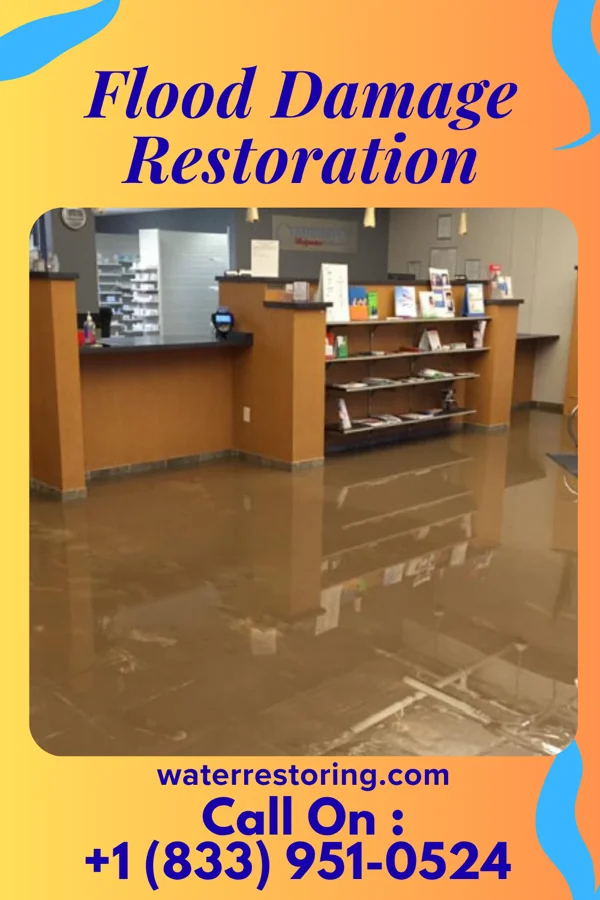 Flood Damage Restoration in Luck, WI