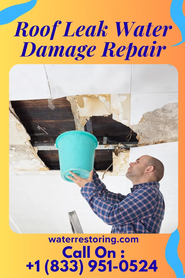 Roof Leak Water Damage Repair in Luck, WI