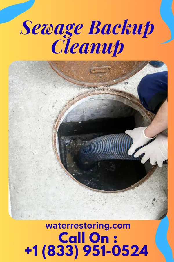 Sewage Backup Cleanup in Luck, WI