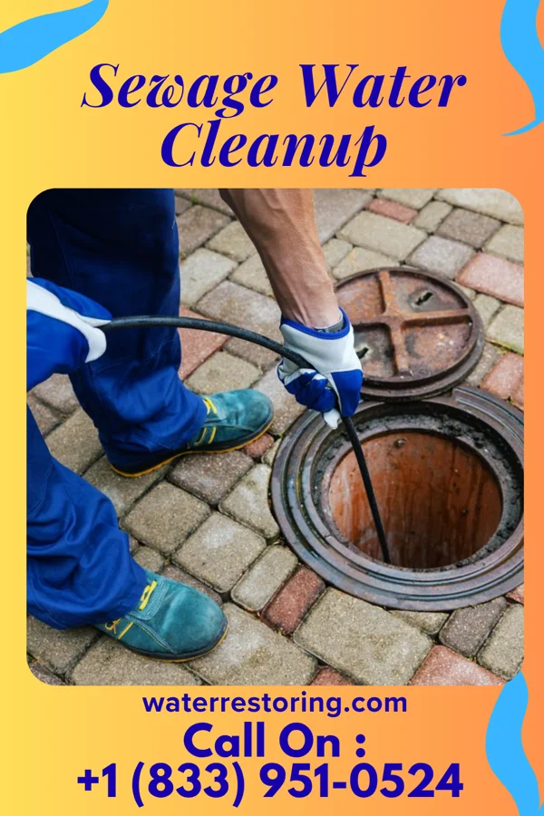 Sewage Water Cleanup in Luck, WI