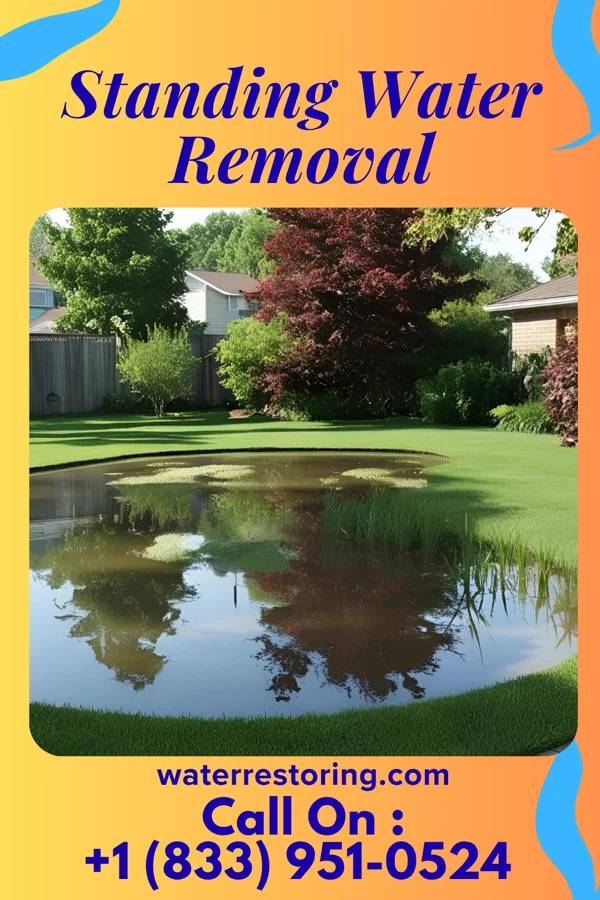 Standing Water Removal in Luck, WI
